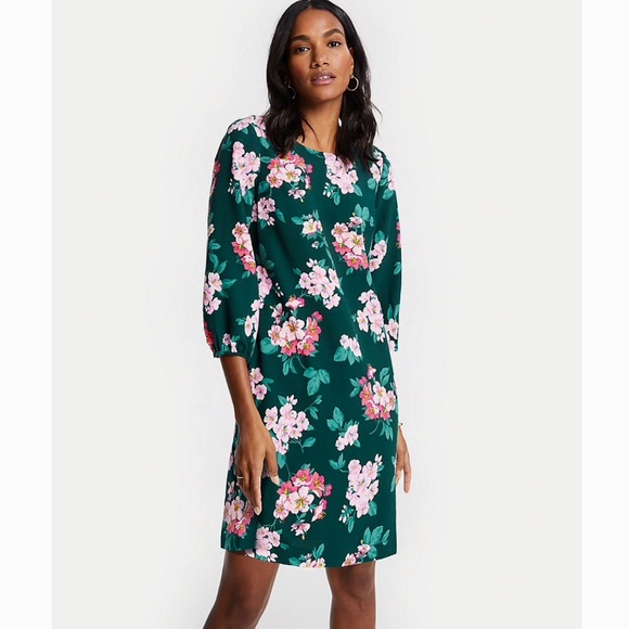 ✨NWT✨Ann Taylor Floral Lantern Sleeve Shift Dress - Picture 3 of 5